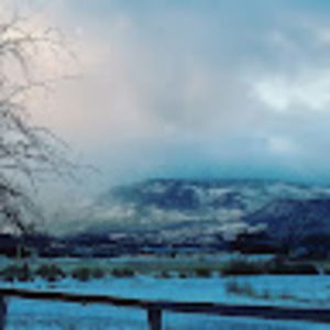 Meet your Posher, Rusty